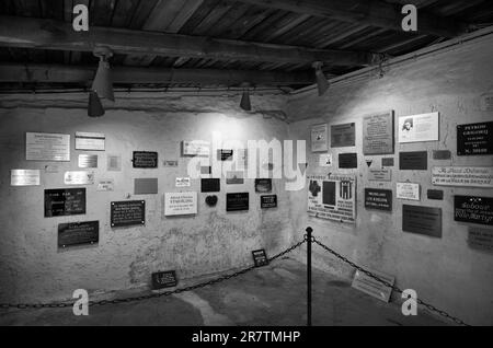Placche commemorative nel crematorio del campo, l'ex foresta di faggi del campo di concentramento, oggi sito commemorativo, bianco e nero, Weimar, Turingia Foto Stock