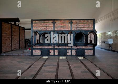 Inceneritore crematorio, ex campo di concentramento della foresta di faggi, ora monumento commemorativo, Weimar, Turingia, Germania Foto Stock