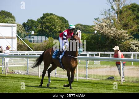 Jockey Jim Crowley su la Maquina all'ippodromo di York. Foto Stock