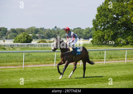 Jockey Rowan Scott su Ticktyboo all'ippodromo di York. Foto Stock