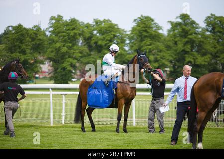 Jockey Kieran o'Neill su Mimikyu alle corse di York. Foto Stock