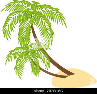 Due palmi isolati su sfondo bianco. Illustrazione vettoriale. Illustrazione Vettoriale