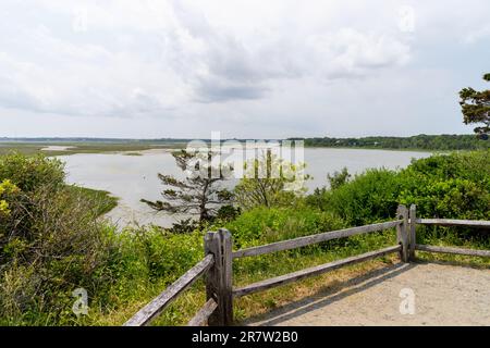 Stagno di sale a Cape Cod Foto Stock