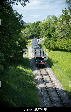 Treno a vapore sulla Bluebell Railway Foto Stock