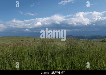 Groenlandia Open Space, un parco della contea vicino a Monument, Colorado Foto Stock