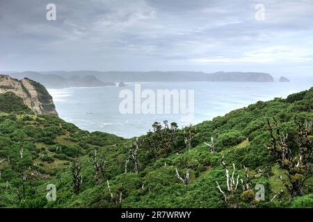 Splendido paesaggio marino caratterizzato da scogliere costiere ricoperte di vegetazione e vista sull'oceano sull'isola di Chiloe in Cile Foto Stock