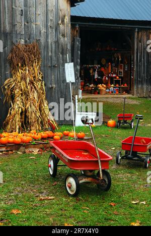 L'arredamento autunnale è in vendita presso una fattoria rustica sulla strada nel New England rurale Foto Stock