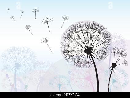 Silhouette dandelion Illustrazione Vettoriale