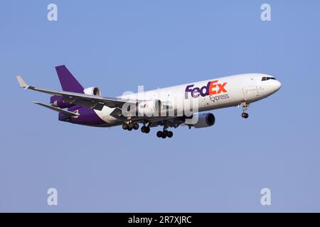 FedEx MD11 Freighter, N586FE, atterraggio all'aeroporto Pearson, Toronto, sulla pista 23 Foto Stock