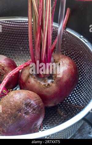 Lavare la barbabietola da cucina in uno scolapasta in metallo in un lavello da cucina. Foto Stock