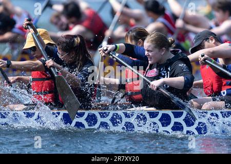 Toronto, Canada. 17th giugno, 2023. I partecipanti si sfidano durante il Toronto International Dragon Boat Race Festival del 2023 a Toronto, Canada, il 17 giugno 2023. Questo evento annuale di due giorni ha preso il via qui sabato con la partecipazione di centinaia di partecipanti da tutto il mondo. Credit: Zou Zheng/Xinhua/Alamy Live News Foto Stock