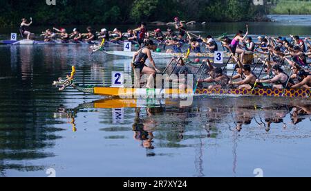 Toronto, Canada. 17th giugno, 2023. I partecipanti si sfidano durante il Toronto International Dragon Boat Race Festival del 2023 a Toronto, Canada, il 17 giugno 2023. Questo evento annuale di due giorni ha preso il via qui sabato con la partecipazione di centinaia di partecipanti da tutto il mondo. Credit: Zou Zheng/Xinhua/Alamy Live News Foto Stock