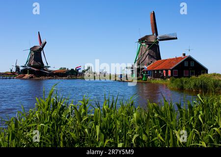 Mulini in Olanda, tradizionale e punto di riferimento diretto del paese Foto Stock