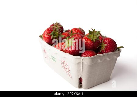 Fragole fresche in recipiente di cartone su fondo bianco Foto Stock