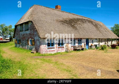 Fishermans Cottage su un Warft sul Langene Hallig Foto Stock