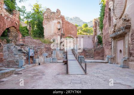 Rovine della Certosa Scala dei, la Cartoixa de Santa Maria d'Escaladei, è uno dei siti storici più importanti di Priorat. Fondata Foto Stock