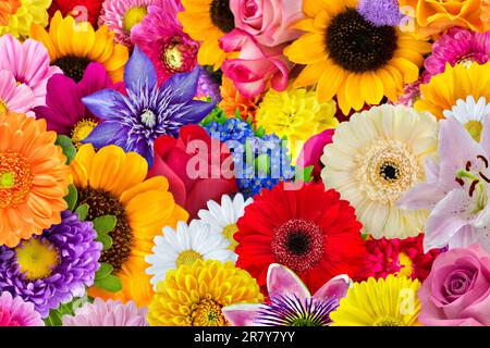 Bunte Auswahl an Blumen im Sommer aus dem Garten mit Rosen, Gerbera, Dahlien, Margeriten, Sonnenblumen, Lilien, Clematis und Anemonen Foto Stock