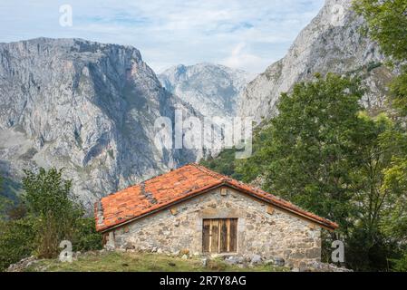 Escursioni nel Los Picos de Europa fino ai punti panoramici, per vedere la montagna Naranjo de Bulnes e le cime del quartiere del villaggio Foto Stock