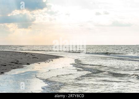 Spiaggia infinita nella regione Fish Land, Darss, la parte nord-orientale della Germania, nello stato federale Meclemburgo-Pomerania anteriore. Uno dei più belli Foto Stock