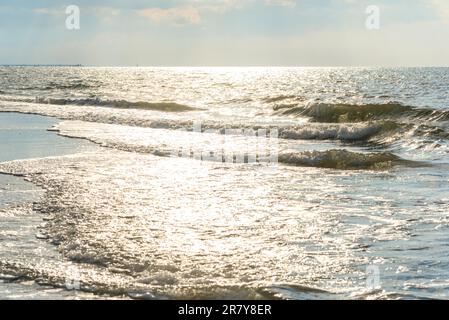 Spiaggia infinita nella regione Fish Land, Darss, la parte nord-orientale della Germania, nello stato federale Meclemburgo-Pomerania anteriore. Uno dei più belli Foto Stock