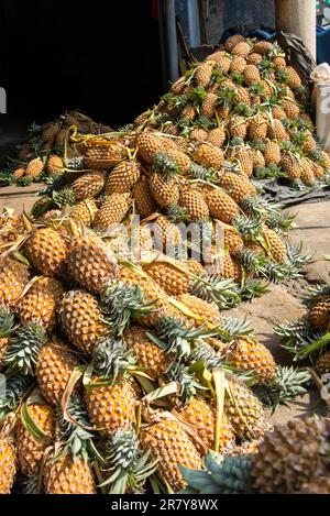 frutta grossista, offre un sacco di ananas in vendita nelle strade della città di Galle. Situata nella provincia meridionale dello Sri Lanka, la città è Foto Stock