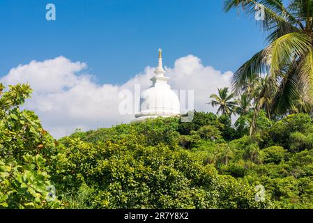 La cupola emisferica chiamata Stupa, dalla Pagoda della Pace Giapponese sulla cima della collina di Rumassala nella giungla. Il monastero buddista esiste da allora Foto Stock