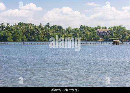 Laguna costiera chiamata lago Hikkaduwa nel nord-est della città. I pescatori con la canoa Outrigger sono pesca sul lago. Allevamento di gamberetti, pesca Foto Stock