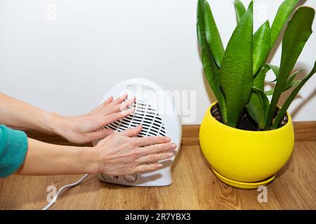 La ragazza tiene le mani vicino a un riscaldatore di plastica del ventilatore e le riscalda le mani, regolando la temperatura a casa, il flusso di calore alle sue mani Foto Stock