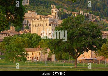 Gubbio, Palazzo del console, palazzo dei consoli, Umbria, Italia Foto Stock