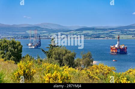 Cromarty Scotland Cromarty Firth cielo blu e giallo Broa fiori e una vista su e impianti di petrolio e Nigg rosso traghetto verso le colline all'inizio dell'estate Foto Stock