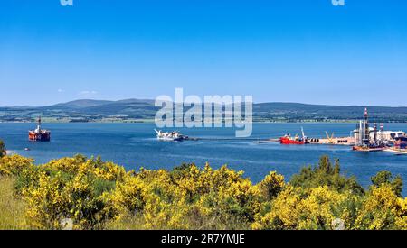 Cromarty Scotland Cromarty Firth cielo blu e giallo Brospa fiori e una vista su Nigg un olio arancione e le colline all'inizio dell'estate Foto Stock