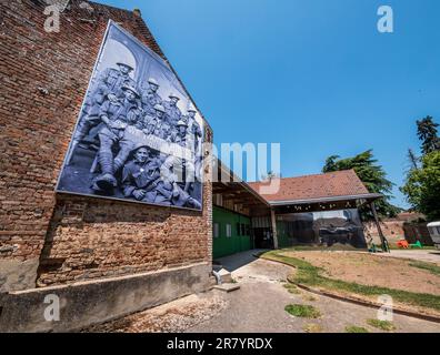 Il Museo Vignacourt racconta la storia del suo fotografo di villaggio che ha fotografato molti soldati australiani che sono stati sborsati nel villaggio durante la prima guerra mondiale. Foto Stock