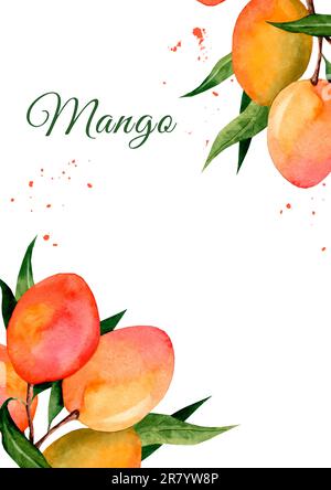 Ramo di mango con foglie verdi e frutti di mango. Acquerello disegno a mano isolato su sfondo bianco. Spazio libero per il testo Foto Stock