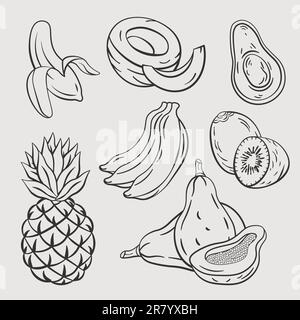 frutti tropicali disegno a mano vettore schizzo e cocco Illustrazione Vettoriale