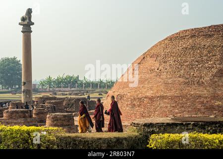 12 19 2014 Vintage Brick Stupa e colonna Leone Kolhua Vaishali Bihar India Asia. Foto Stock