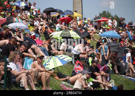 Hohenstein Ernsthal, Germania. 18th giugno, 2023. Motorsport, moto, Gran Premio di Germania, MotoGP, Sachsenring: Gli spettatori seguono la gara. Credit: Jan Woitas/dpa/Alamy Live News Foto Stock