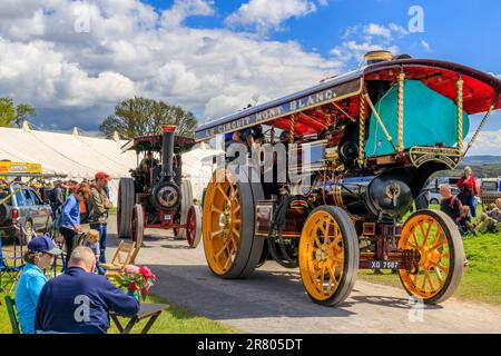 Modern 2016 Fowler Super Lion B6 il nuovo motore dello showman "in avanti" sfilando all'Abbey Hill Steam Rally, Yeovil, Somerset, Regno Unito Foto Stock