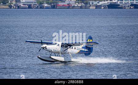 Primo piano di un idrovolante Harbour Air che atterra nel porto di Vancouver, British Columbia, Canada, il 1 giugno 2023 Foto Stock