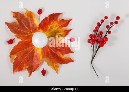 Composizione autunnale. Modello fatto di foglie secche su sfondo bianco. Autunno, concetto di caduta. Disposizione piatta, vista dall'alto Foto Stock