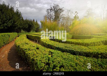 Tramonto nel giardino di Tsinandali, Chavchavadze House Museum. Kakheti, Georgia Foto Stock