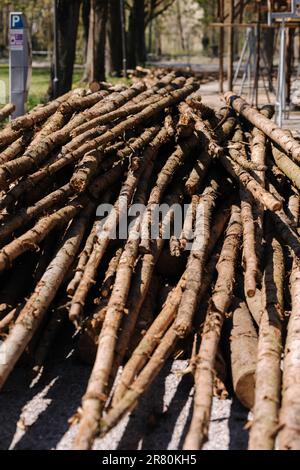 Lotto di tronchi per la costruzione di casa rustica nel parco Foto Stock