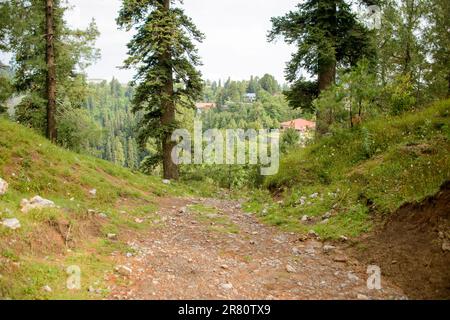 Un sentiero nelle montagne di Nathia Gali, Abbotabad, Pakistan. Foto Stock