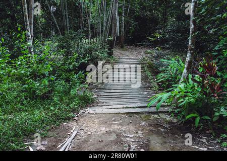 Vecchio ponte di legno nella foresta. Vista dal suolo del ponte con tavole di legno. Fotografia che consiste di un ponte di legno sopra il fiume per un parco naturale selvaggio. Piano Foto Stock