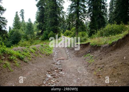 Un sentiero nelle montagne di Nathia Gali, Abbotabad, Pakistan. Foto Stock