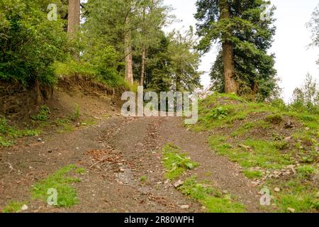 Un sentiero nelle montagne di Nathia Gali, Abbotabad, Pakistan. Foto Stock