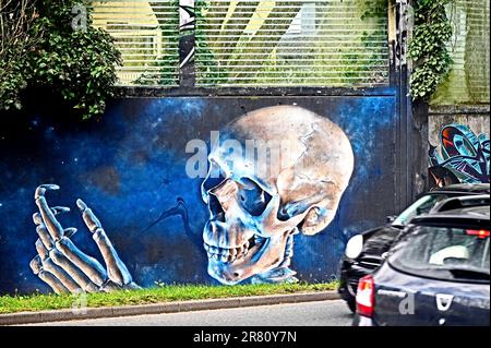 Totenkopf an einer Mauer (Graffito); cranio (graffito) su un muro Foto Stock