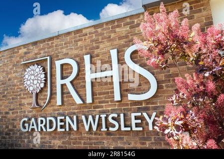 Cartello d'ingresso RHS Garden Wisley. Insegna contemporanea incorniciata da Cotinus 'Candy Floss' all'entrata del RHS Horticultural Garden Wisley Surrey UK Foto Stock