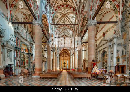 Veneto, Verona, basilica di Sant'Anastasia chiesa gotica italiana - Vista dell'interno - altare nella chiesa, altare gotico Foto Stock