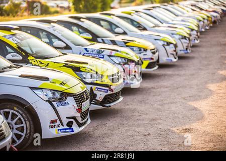 Gerardmer, Francia. 18th giugno, 2023. Parc fermé, ambiance durante il Grand-Est dei Vosgi di Rallye 2023, 4th° round del Championnat de France des Rallyes 2023, dal 17 al 18 giugno a Gerardmer, Francia - Foto Bastien Roux/DPPI Credit: DPPI Media/Alamy Live News Foto Stock