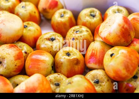 Assortimento di frutta marzapane. Primo piano di dolci marzapane a forma di mela e dipinti nel negozio di pasticceria. La frutta Martorana è il tipico dessert siciliano di Foto Stock